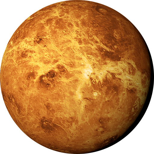 VENUS